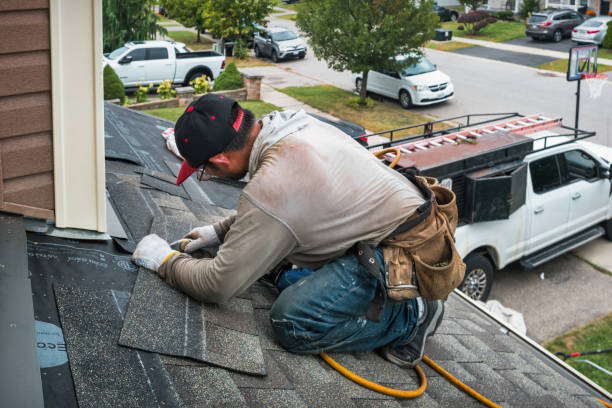 Professional Roof Replacement technician working in Elvaston, IL